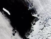 تفاصيل انجراف أكبر جبل جليدى فى العالم عن موقعه
