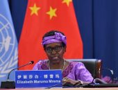 مسئولة أممية: نتيجة كوب 27 حاسمة لأزمة المناخ وضمان مستقبل الطبيعة