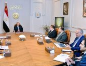 الرئيس السيسي يتابع نشاط ومشروعات المنطقة الاقتصادية لقناة السويس