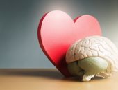 4 أبراج تمتلك ذكاء عاطفيا قويا.. مواليد الأسد والدلو لا يقعون فى الحب بسهولة