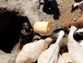 كينيا ضحية الجفاف.. خسائر فادحة في الحياة البرية بسبب التغيرات المناخية