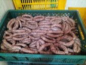 ضبط ربع طن "سجق وبرجر" منتهية الصلاحية بمحل جزارة فى بورسعيد