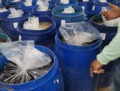 ضبط طن ونصف مواد غذائية مجهولة المصدر بحملة مكبرة بالعاشر من رمضان