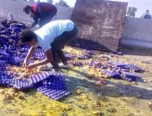 انقلاب سيارة ربع نقل محملة بكراتين بيض على طريق المحلة طنطا