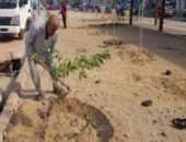 زارعة 30396 شجرة بالإسكندرية منذ بدء تنفيذ مبادرة 100 مليون شجرة.. صور