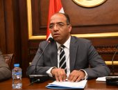 رئيس صحة الشيوخ: المجلس الصحى المصرى يهدف للارتقاء بالمنظومة الصحية
