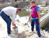 محافظ أسوان: زراعة 12 ألفا و900 شجرة ضمن مبادرة الرئيس.. صور