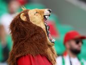 بلجيكا ضد المغرب.. الشياطين والأسود فى مدرجات مباراة المغرب وبلجيكا "صور"