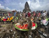 وليمة ضخمة من المأكولات والفواكه للقردة فى عيدهم السنوى بتايلاند.. فيديو وصور