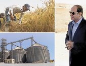 بتوجيهات الرئيس السيسى.. قصة نجاح الدولة المصرية فى تخطى أزمة القمح العالمية خلال جائحة كورونا والحرب الروسية الأوكرانية.. المشروع القومى لإنشاء الصوامع سلاح الدولة فى الحفاظ على "سنابل الذهب"