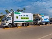 صندوق تحيا مصر يطلق قافلة بكفر الشيخ لتوفير 13 طن مواد غذائية لـ1000 أسرة
