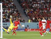 كوريا الجنوبية ضد البرتغال.. الشمشمون الكورى يتعادل فى الدقيقة 27 "فيديو"