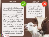 خليك واعى..  لا صحة لانتشار الحمى القلاعية بين الماشية فى مصر (إنفوجراف)