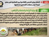 الحكومة تنفى انتشار مرض الحمى القلاعية بين الماشية فى مصر 