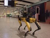 مطار هيثرو بلندن يستخدم "كلبًا آليًا" لتحسين الكفاءة والسلامة