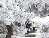 مصرع وإصابة 7 أشخاص جراء الثلوج الكثيفة فى اليابان
