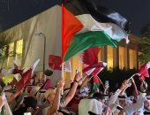 باحث للتلفزيون المصري: مشاهد العلم الفلسطيني في مونديال قطر أمر يدعو للفخر