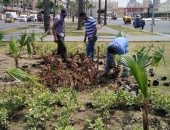 100 مليون شجرة.. مبادرة غيرت ميادين وطرق ومدارس الإسكندرية للون الأخضر (صور)