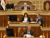 مجلس الشيوخ يوافق على تشكيل واختصاصات مجلس إدارة صندوق مصر الرقمية