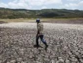 تغير المناخ يهدد أمريكا اللاتينية ويعرض 5.8 مليون شخص للفقر.. الجفاف يلاحق الدول ويسبب خسائر اقتصادية بعد انخفاض إنتاج المحاصيل.. الحرارة الشديدة تؤدى لتصدع الطرق وتأثر الخرسانات.. والغطاء الشجرى أحد الحلول