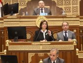 مجلس الشيوخ يوافق على المادة المنظمة لأهداف صندوق مصر الرقمية