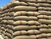 تموين دمياط تعلن فتح باب تقديم الأرز أمام المزارعين لمنتصف يناير المقبل‎‎