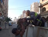 إيقاف بناء مخالف فى المنتزه والتحفظ على المعدات بالإسكندرية ‎‎