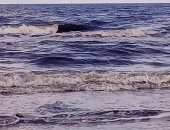 أجواء خريفية وسماء ملبدة بالغيوم وارتفاع أمواج البحر ببورسعيد