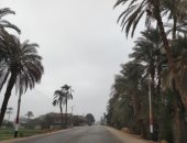 طقس سوهاج اليوم.. سحب كثيفة وانخفاض فى الحرارة وشبورة كثيفة على الطرق.. صور