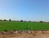 طقس المنوفية اليوم.. أجواء باردة وانتظام وسيولة فى الحركة المرورية