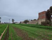 انخفاض ملحوظ بدرجة الحرارة وسحب كثيفة وأمطار خفيفة اليوم بسوهاج