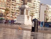 طقس بورسعيد الآن.. أجواء متقلبة مائلة للبرودة وسماء مشمسة وانتظام الملاحة 