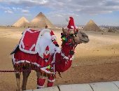 الأهرامات تحتفل برأس السنة.. الجمال لابسة بابا نويل.. صور