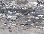 شكوى من انتشار الصرف الصحى والقمامة بشارع النجراشى طهطا بسوهاج.. ورئيس المدينة يرد