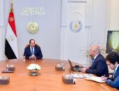 توجيهات رئاسية بشأن تطوير الموانئ لتكوين ظهير من المناطق اللوجستية 