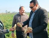 وكيل زراعة دمياط يتفقد الحاصلات الشتوية ويتابع شكاوى المزارعين 
