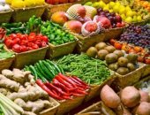 صادرات مصر الزراعية تتجاوز 6,3 مليون طن لأول مرة فى تاريخها (فيديو)