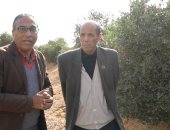 إطلاق مبادرة زراعة الجوجوبا "الذهب الأخضر" فى جنوب سيناء
