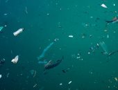 دراسة: المواد البلاستيكية الدقيقة فى قاع المحيط "تضاعفت ثلاث مرات خلال 20 عامًا"
