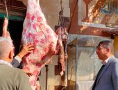 تحرير 47 مخالفة تموينية خلال حملة رقابية بمركز مطاى فى المنيا