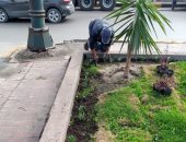 محافظ الإسكندرية: زارعة نحو 40 ألف شجرة بنطاق الأحياء