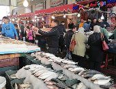 البيع على نغمات الأغانى الشعبية.. شاهد توافد الآلاف على سوق الأسماك فى بورسعيد