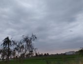 طقس شتوى متقلب بالمحافظات.. غيوم بالفيوم وأمطار خفيفة على بعض القرى.. وشمس ودرجات حرارة منخفضة بالأقصر.. وانخفاض درجات الحرارة ببنى سويف.. وجو غير مستقر بالمنيا.. والأمطار تضرب البحيرة.. صور