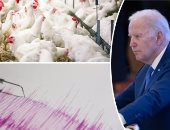 باختصار.. أهم الأخبار العربية والعالمية حتى الظهيرة..هزة أرضية بقوة 3 درجات تضرب ولاية البليدة بالجزائر.. مستوطنون إسرائيليون يقتحمون ساحات الأقصى.. اليابان: إعدام ما يقرب من 10 ملايين طائر بسبب أنفلونزا الطيور