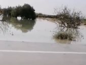 وصول السيول لمدينة نخل بوسط سيناء دون تأثير على حركة السير