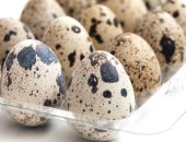 تعرف على مميزات بيض السمان.. يستخدم فى كل أنواع المأكولات