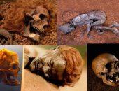 دراسة هولندية تحلل جثث مومياوات المستنقعات فى عصور ما قبل التاريخ