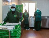 التحالف الوطنى يطلق أكبر مبادرة إطعام تحت شعار "خيرك سابق" لدعم 5 ملايين أسرة