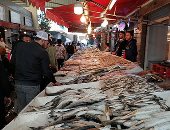 أسعار الأسماك فى الأسواق اليوم.. البلطى يبدأ من 39 جنيها للكيلو