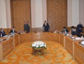 شكري: الرئيس السيسي بحث مع وزير خارجية الصين تعزيز علاقات التعاون الثنائى